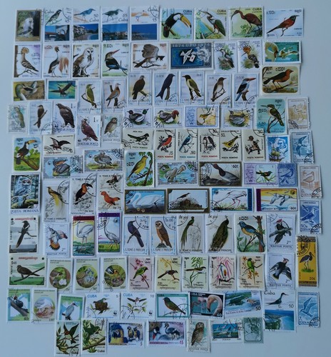 Birds stamps collection 100 - birds,