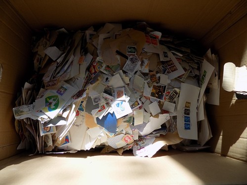 11kg box world loose - 11kg,