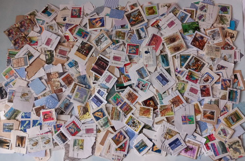 1000 new zealand - 🌟, 1000~new